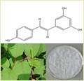 Resveratrol