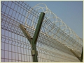 Wire Mesh Fence
