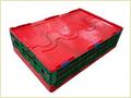 Plastic Foldable Crate