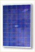 Watt Solar Panels 250WP