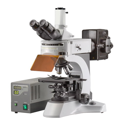 Trinocular Fluorescence Microscope in West Patel Nagar, New Delhi ...