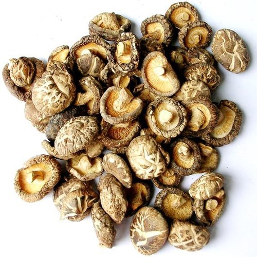 Dried Mushroom - Dried Mushroom Manufacturers, Dealers & Exporters