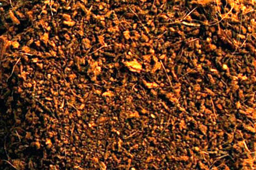 Cocopeat Manufacturers, Coco peat Suppliers, Exporters