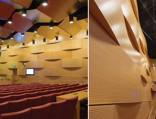 Auditorium Acoustic Wooden Wall Paneling in New Delhi, Delhi