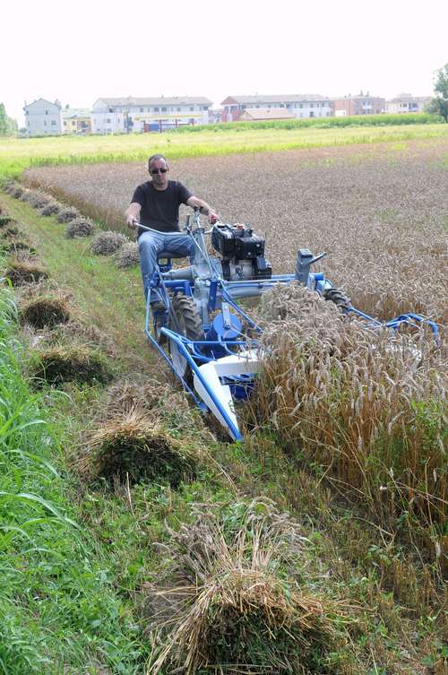 Reaper Binder Reaper Binder Manufacturers, Dealers & Exporters