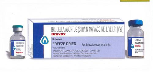 BRUVAX Vaccine in Jubilee Hills - Road No.1 To 320, Hyderabad - INDIAN