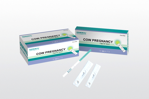 in strip india name pregnancy test Nan Ren Pregnancy in Cow min Dairy Road, Test Shenzhen