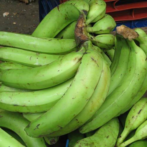 Green Plantain in Church Road, Kanyakumari K. M. K. Exports