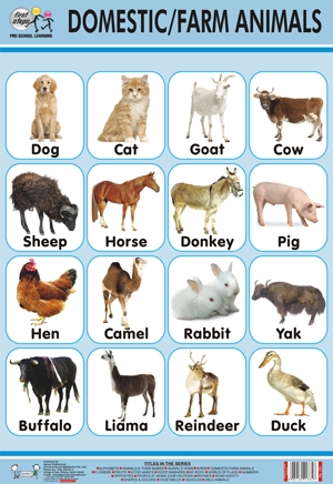 Domestic / Farm Animals Chart in Rithala, Delhi