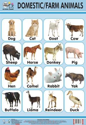 View Wild Animal Names For Kids Pics - Temal