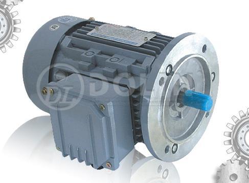  AC  Three Phase Inverter  Duty  Induction  Motor  AEEF VF 