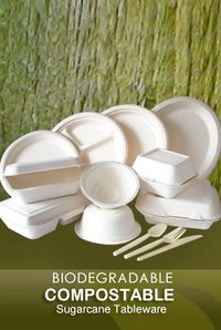 biodegradable-plates-706.jpg