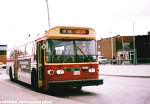 Trolley Buses