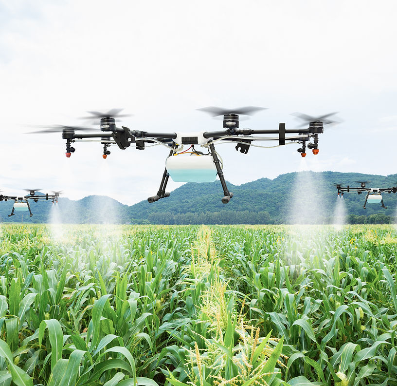 AGRICULTURE & PESTICIDES