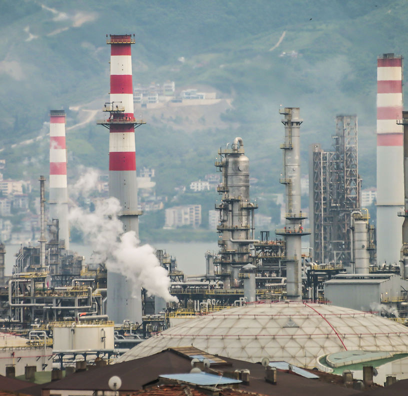 PETROCHEMICAL & POLYMERS