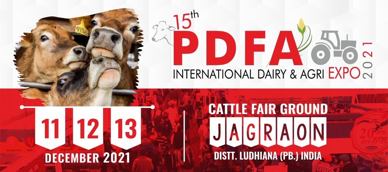 15th PDFA Expo 2021 
