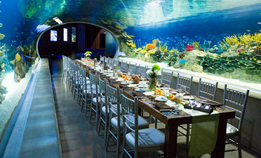 worldseafoodshanghai2021 