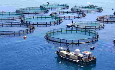 worldseafoodshanghai2021 