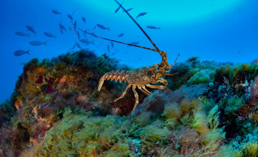 worldseafoodshanghai2021 